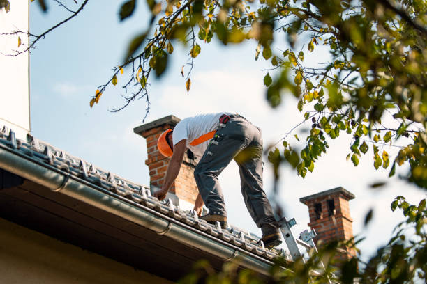 Best Roof Gutter Cleaning  in Fort Montgomery, NY